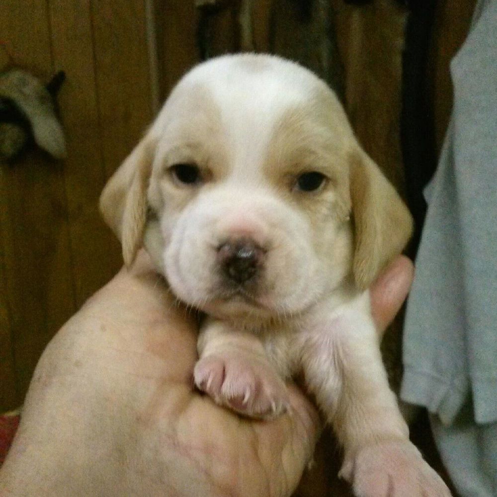 Meet your Posher, Marcia