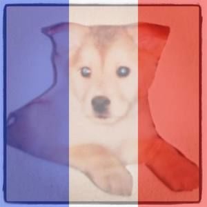 Meet your Posher, Rosalinda