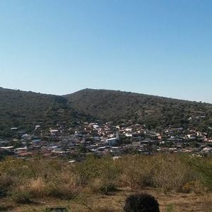 Meet your Posher, Adrian