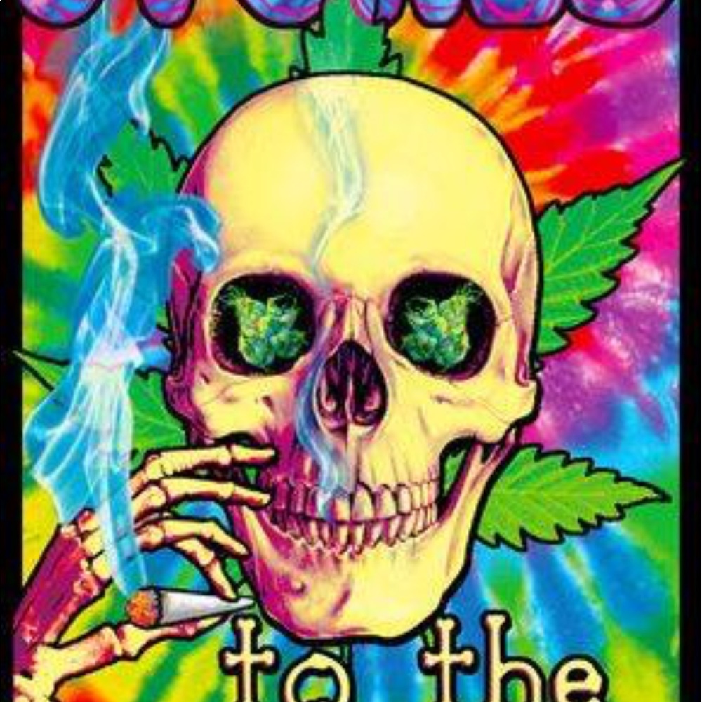 Meet your Posher, Rose