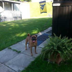 Meet your Posher, Helen