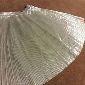 Final Price ⤵ TALBOTS Metalic Silver Pleated Skirt