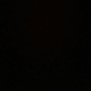 Meet your Posher, Shanell