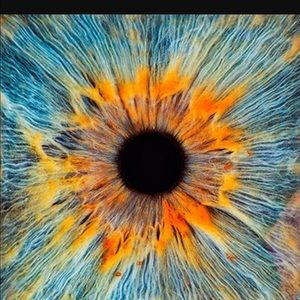 Meet your Posher, Cody