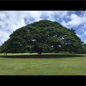 Meet your Posher, Ruby