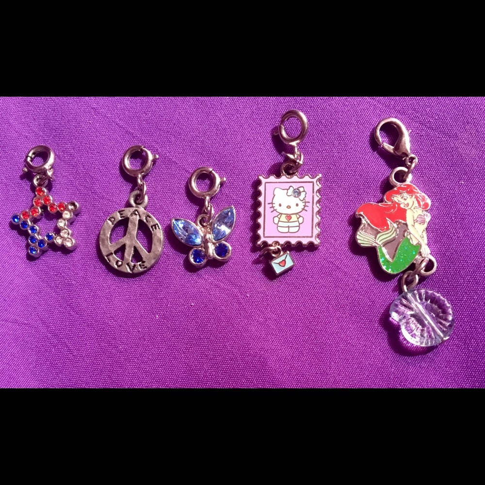 Lots of Bracelet Charms