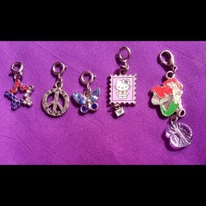 Lots of Bracelet Charms
