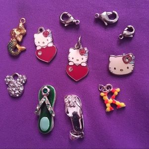 Lot of Necklace Pendants & Bracelet Charms