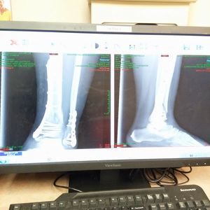 Meet your Posher, Shadimond