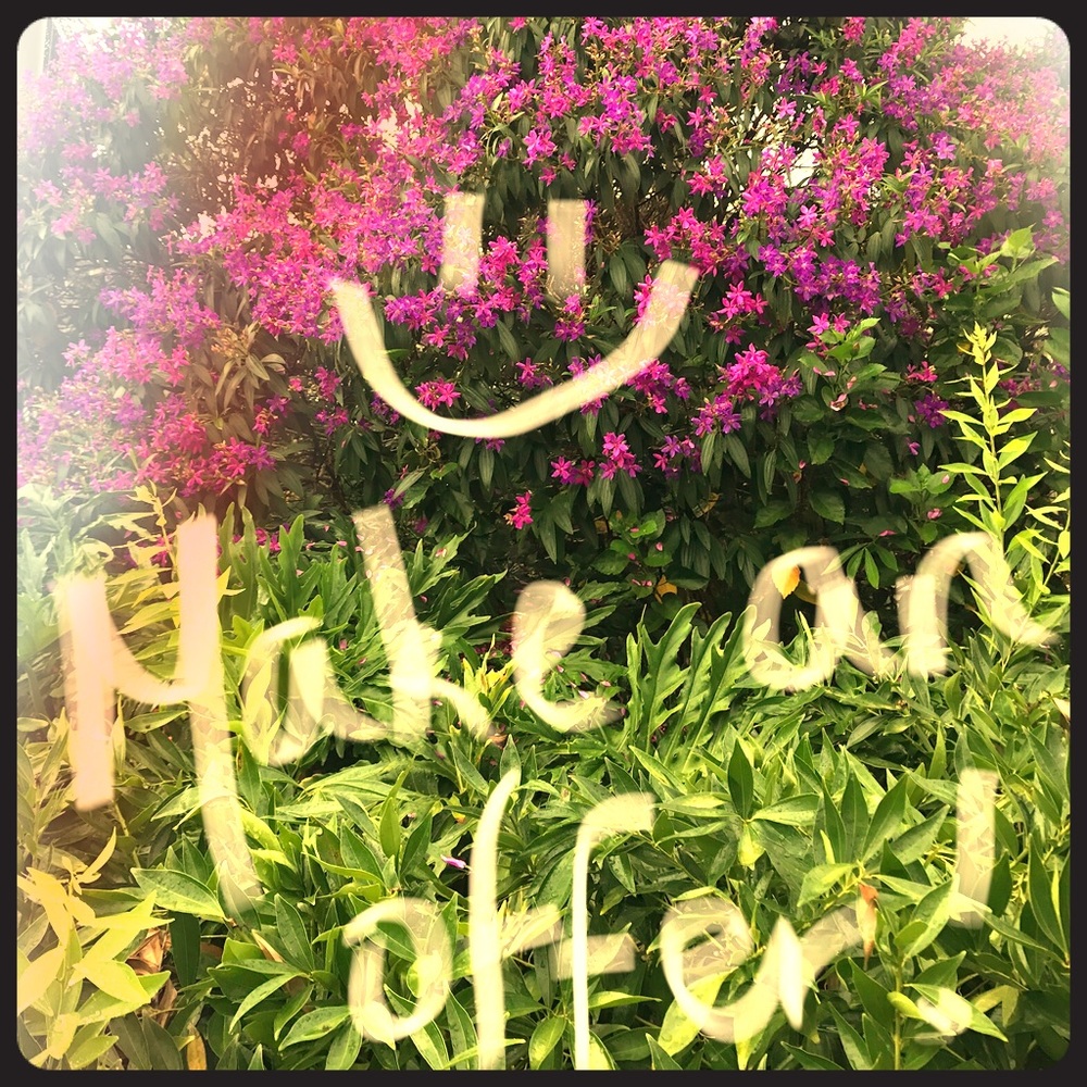 Offers and Bundles Welcome! 🛍