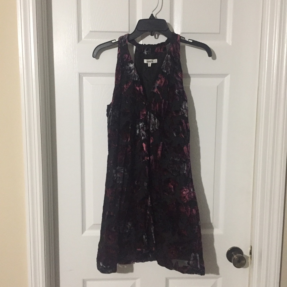 Bb dakota velvet dress