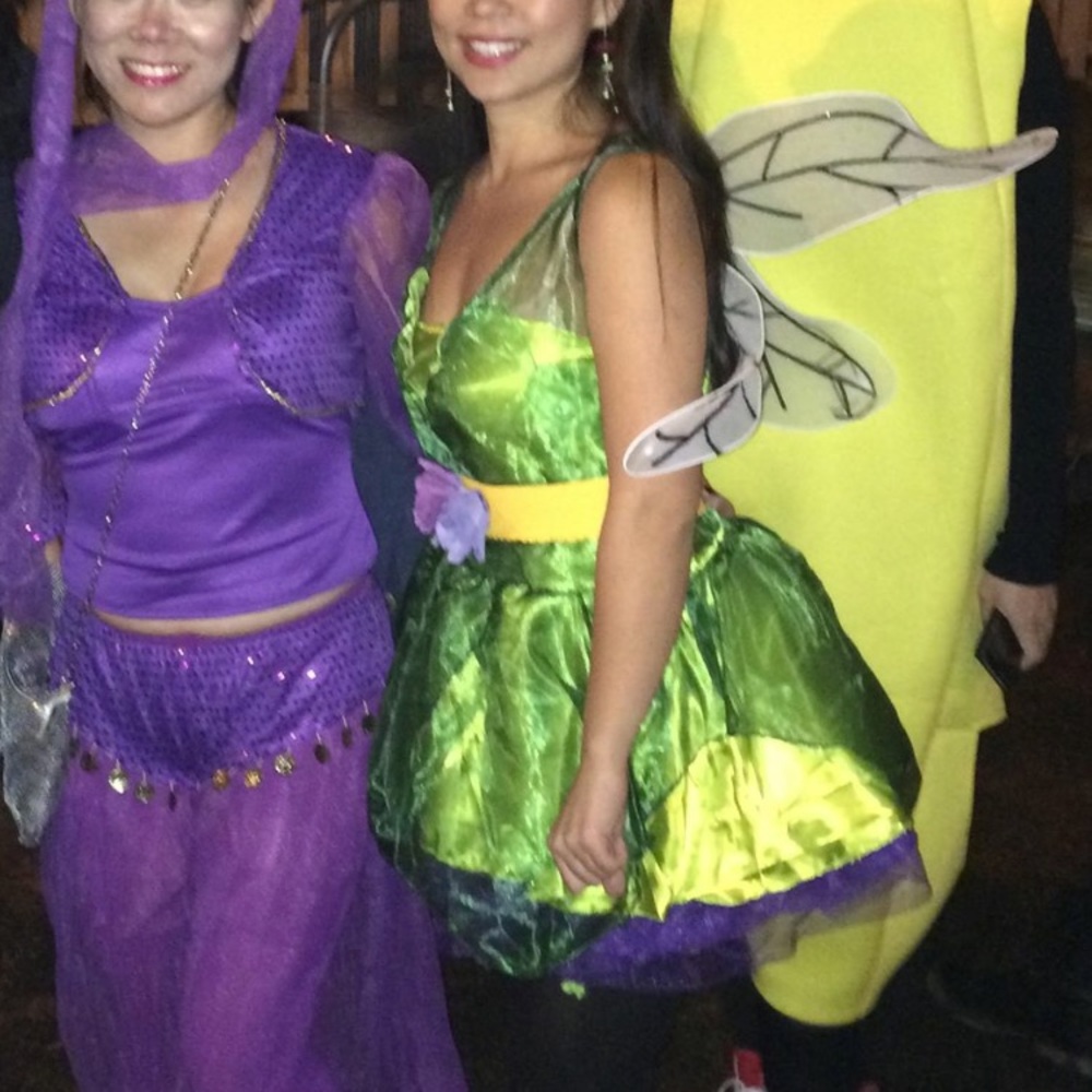 Fairy costume