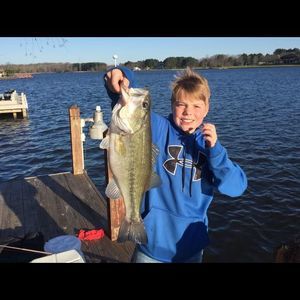 Meet your Posher, Jesse