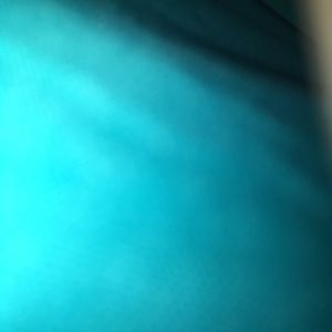 Meet your Posher, Rickia