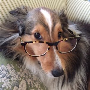 Meet your Posher, Molly