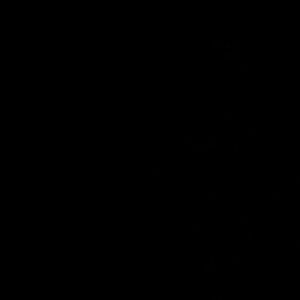 Meet your Posher, Maya