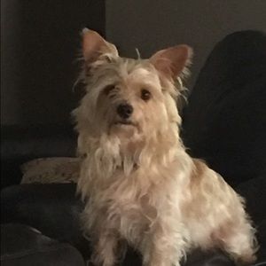 Meet your Posher, Tracy