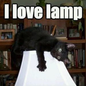 Meet your Posher, Lindsay