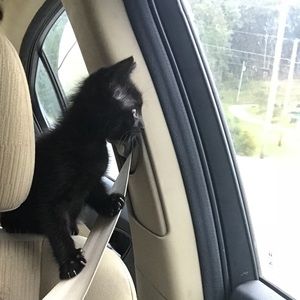 Meet your Posher, Sara