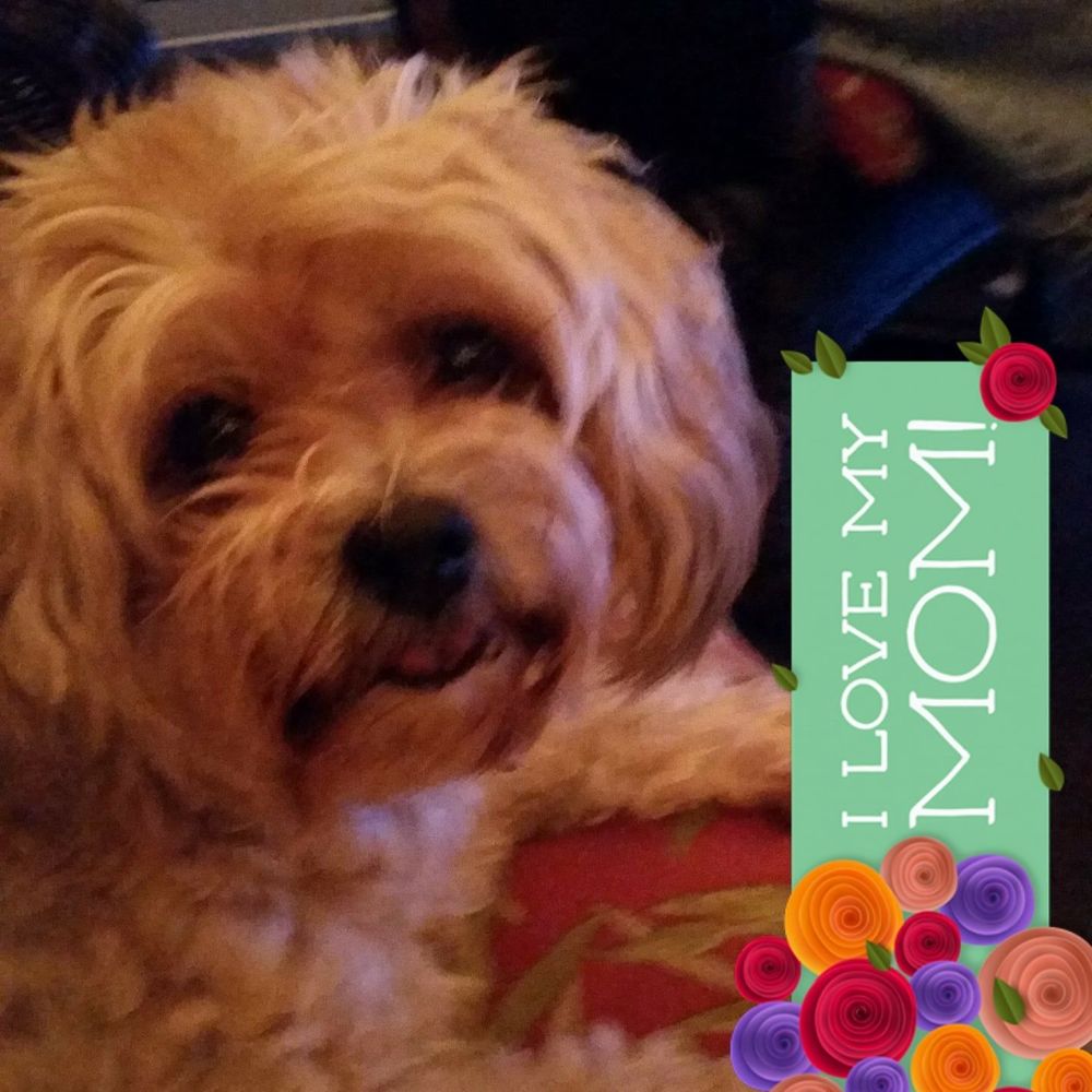 Meet your Posher, Pamela