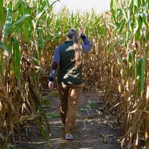 Meet your Posher, Joanne