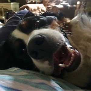 Decode 1.8 Prom/Formal Dress