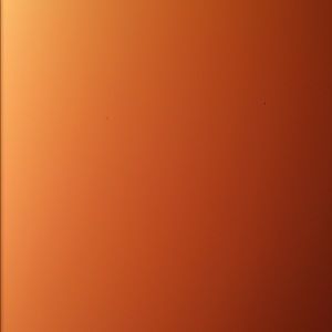 Meet your Posher, Deandre