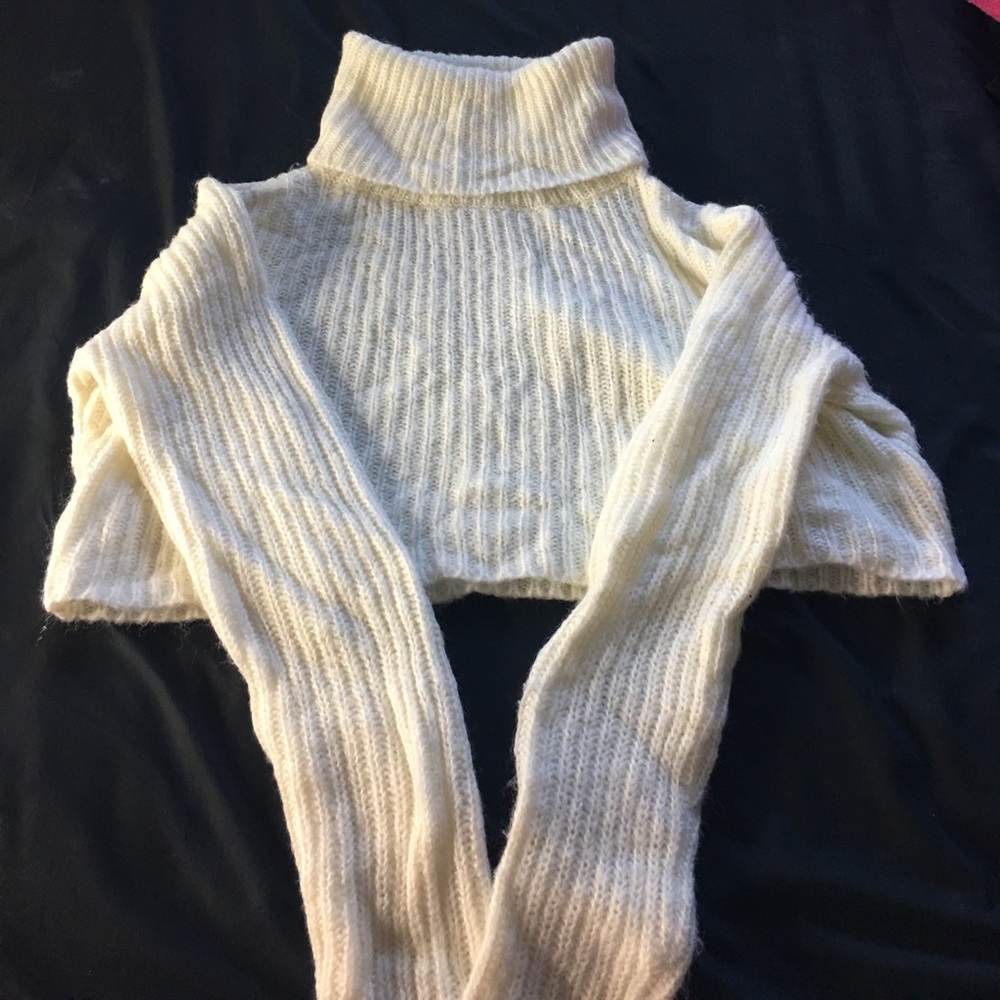 Turtle neck cropped long sleeve top