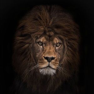 Meet your Posher, Rashaan