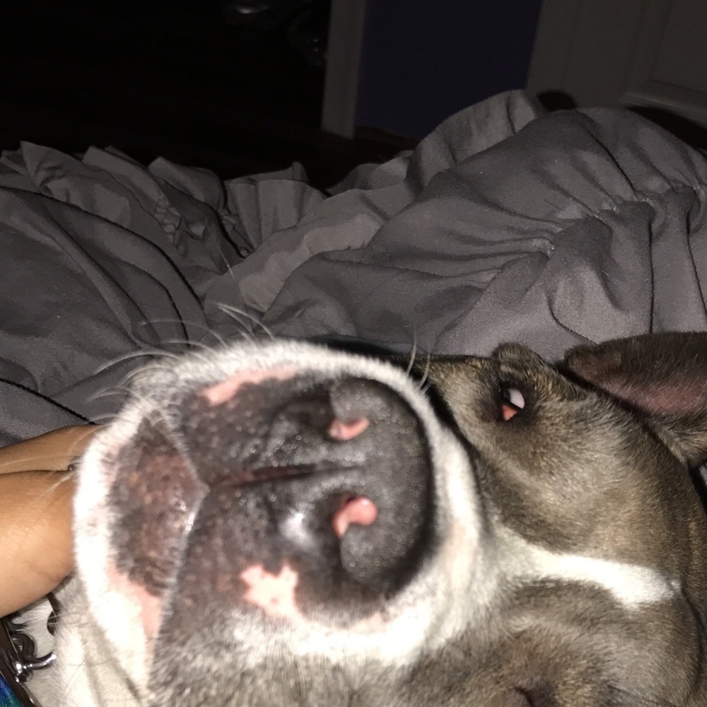 Meet your Posher, Colby