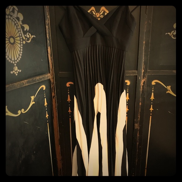 Black and white maxi with an accordion skirt. - Picture 1 of 6