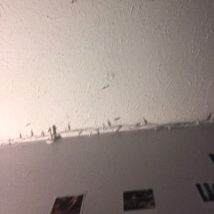 Meet your Posher, Adriana