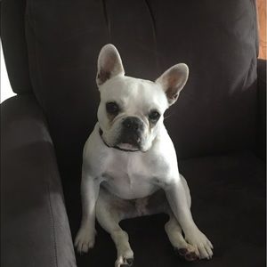 Meet your Posher, Jeanne