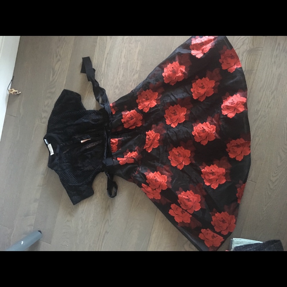 Anthropologie red and black dress