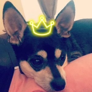 Meet your Posher, Jackie