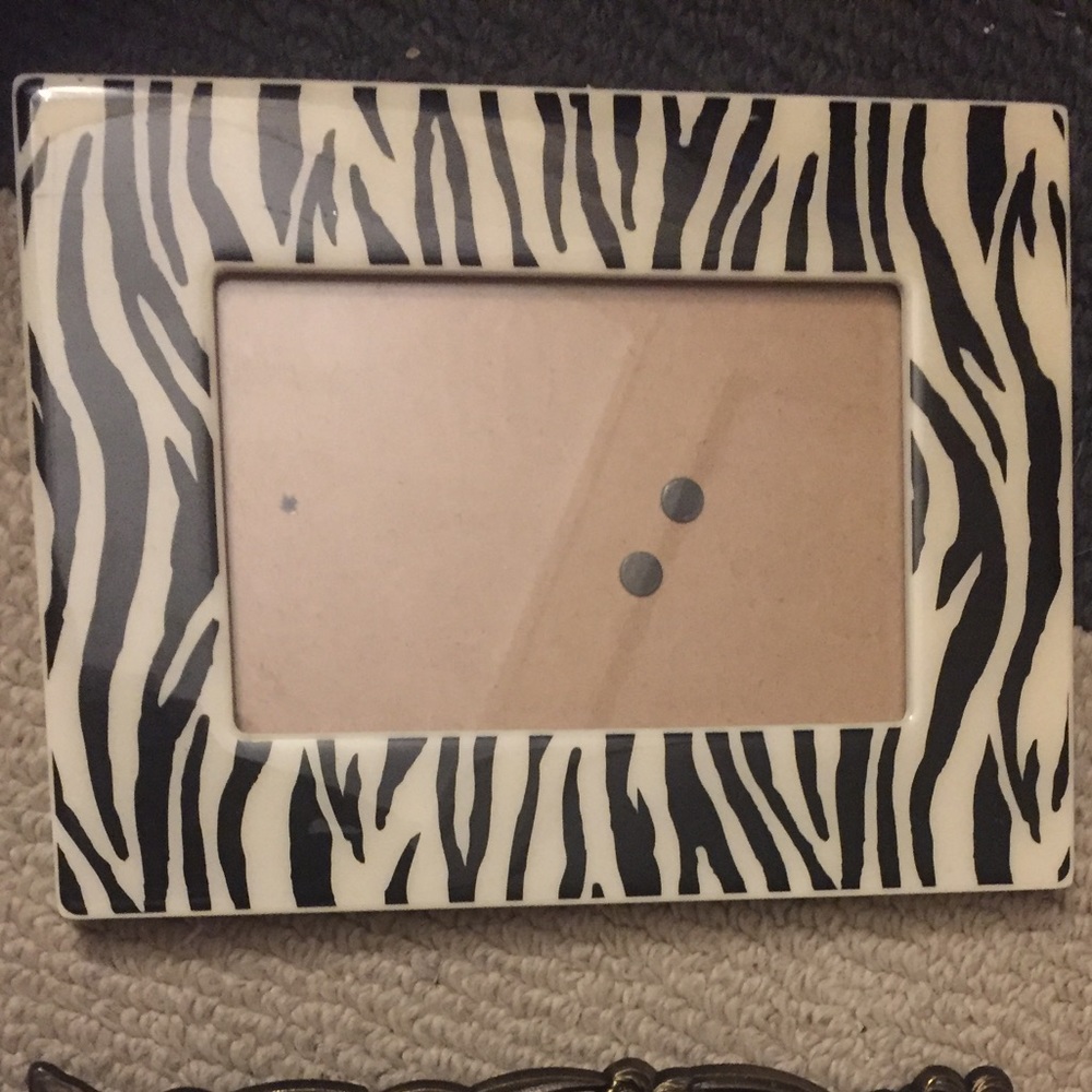 4x6 zebra picture frame