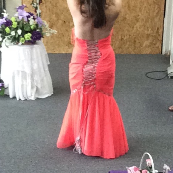 NAME BRAND Pageant/Prom Dress - Picture 3 of 3