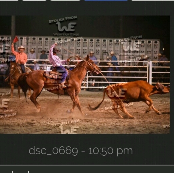 Meet your Posher, Cooper - Picture 1 of 1