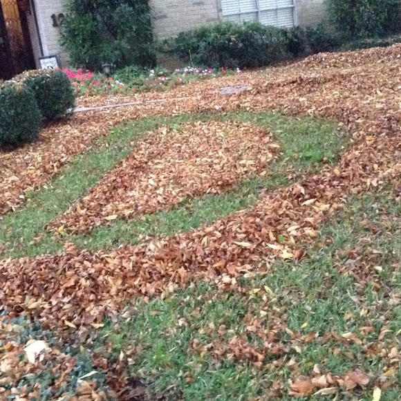 Meet your Posher, Luke - Picture 1 of 1