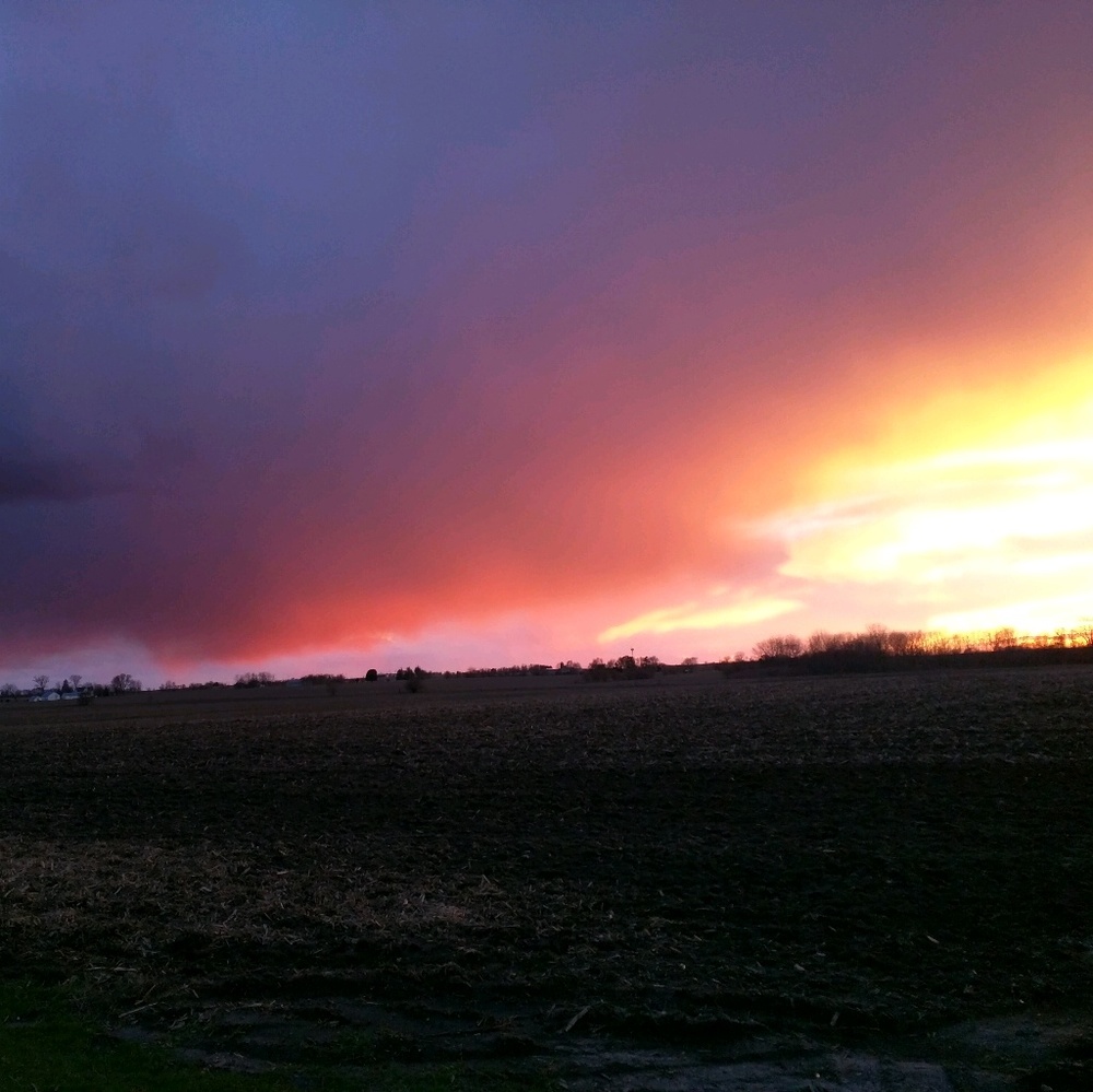 Meet your Posher, Ali