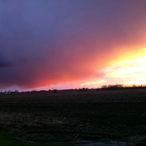 Meet your Posher, Ali