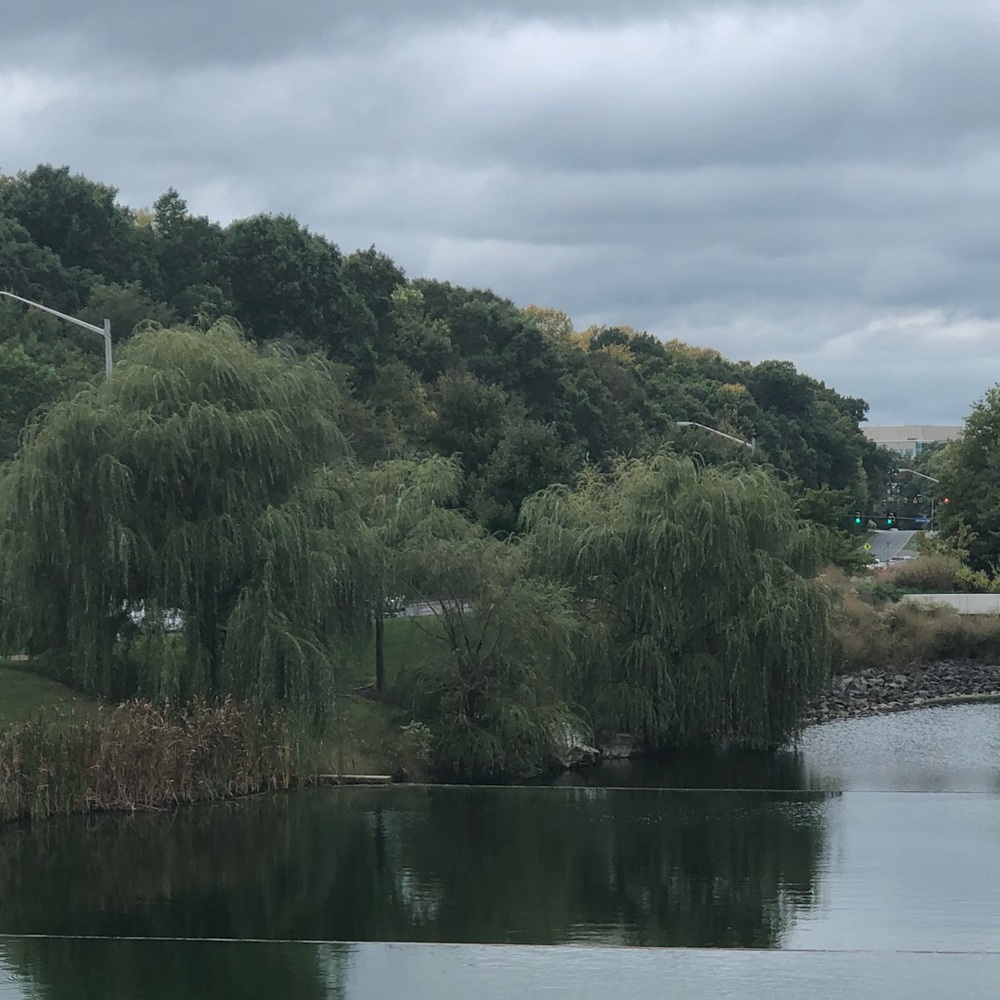 Meet your Posher, Farah