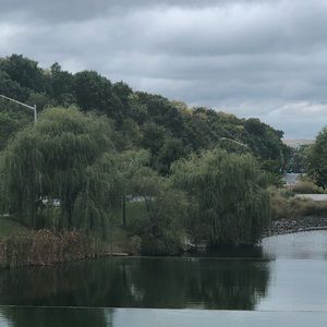 Meet your Posher, Farah