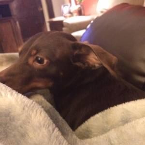 Meet your Posher, Kaytlin