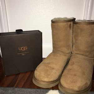 Classic short Ugg boots in Chestnut