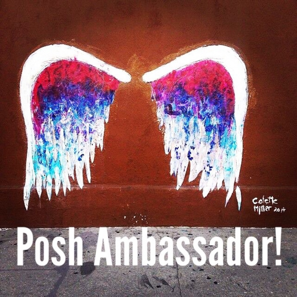 POSH AMBASSADOR! 😍❤️💖🙌🏻