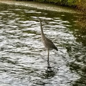 Meet your Posher, Brittney