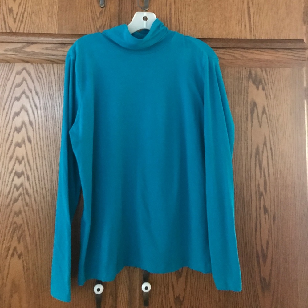 Teal turtleneck