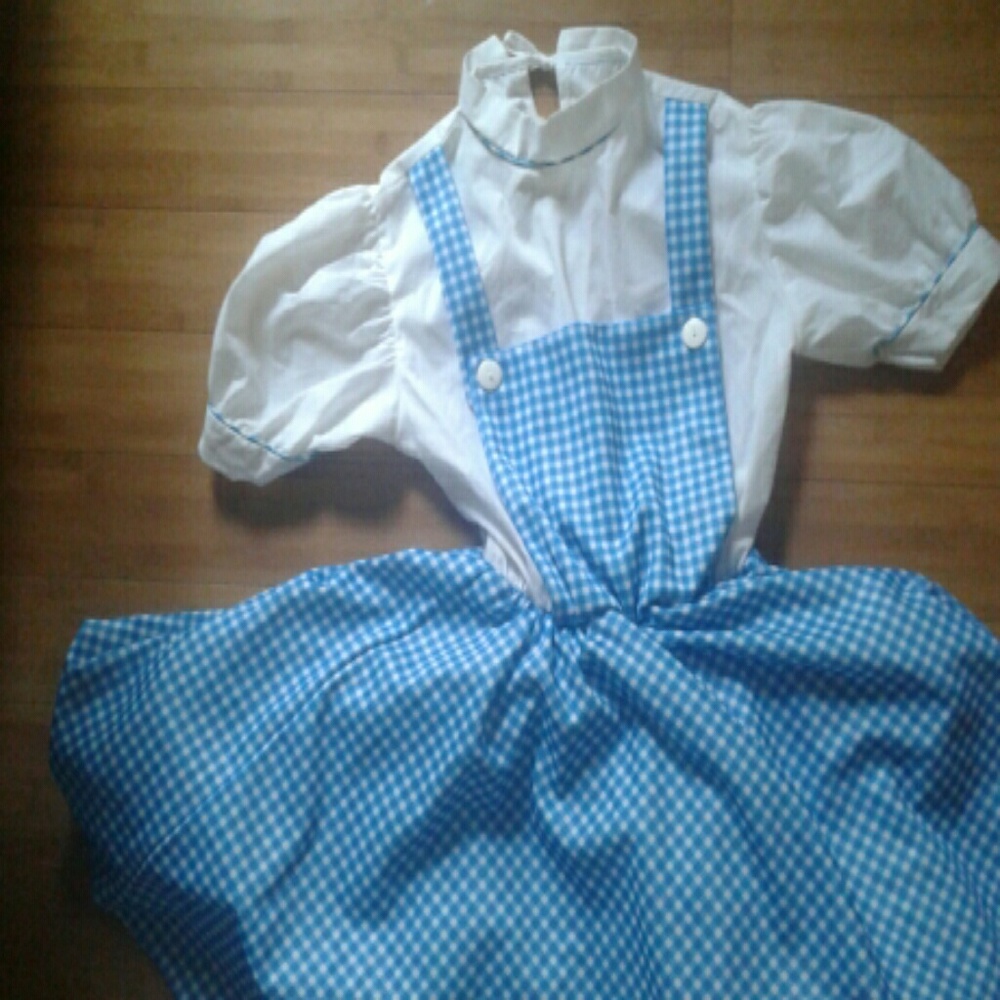 Dorothy's Dress! Like New!