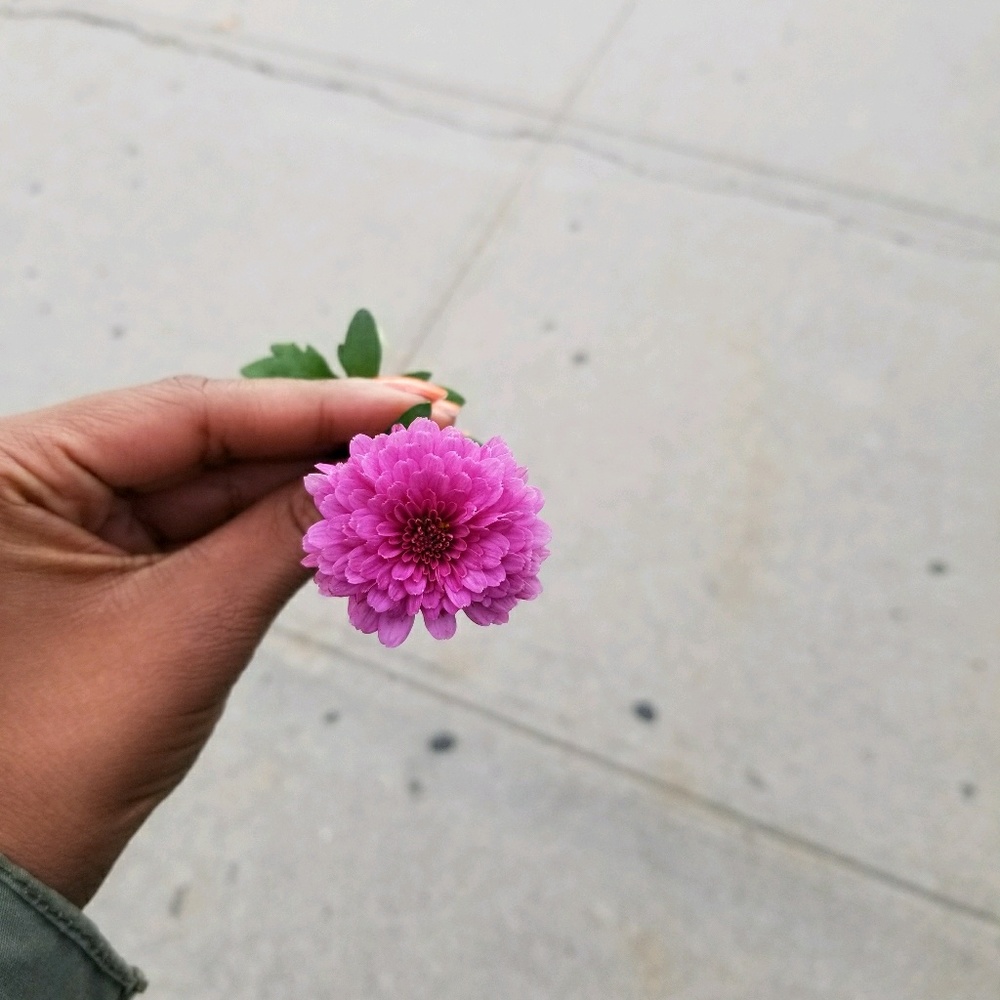 Meet your Posher, Azale